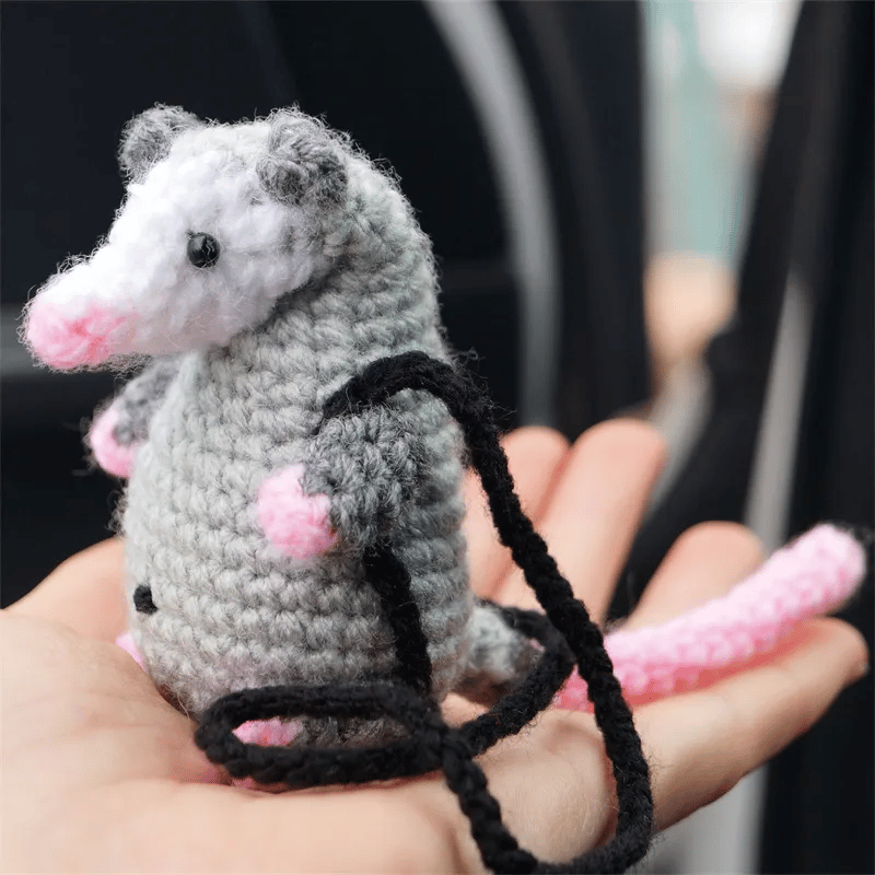 Possum On A Swing