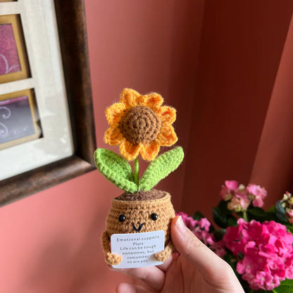 🎁Handmade Emotional Support Plant Gift